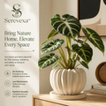 Serevexa™ Sculptural Bloom Ribbed Planter with Premium Indoor Greenery