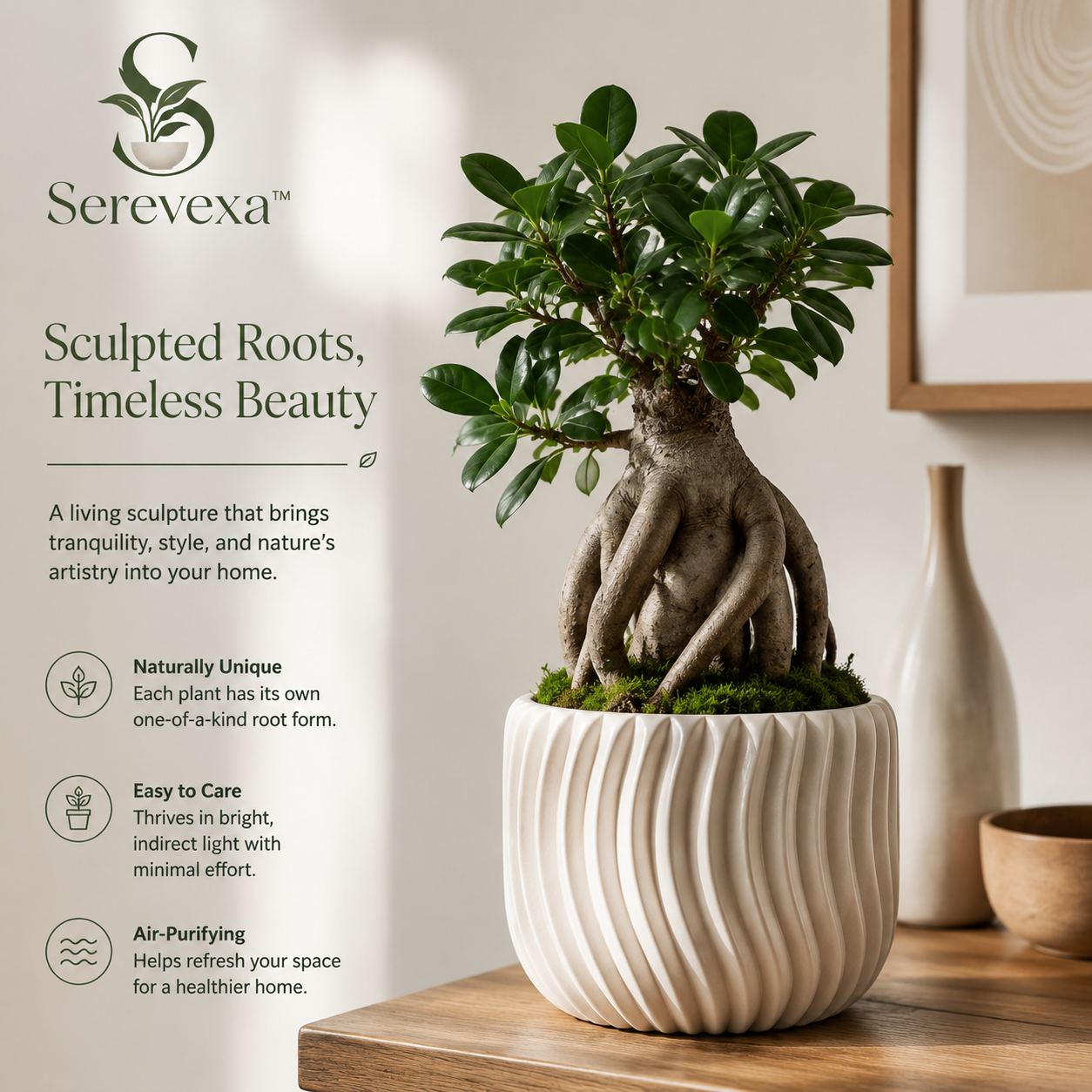 Serevexa™ RootForm Living Sculpture Planter – Elegant Indoor Bonsai Accent