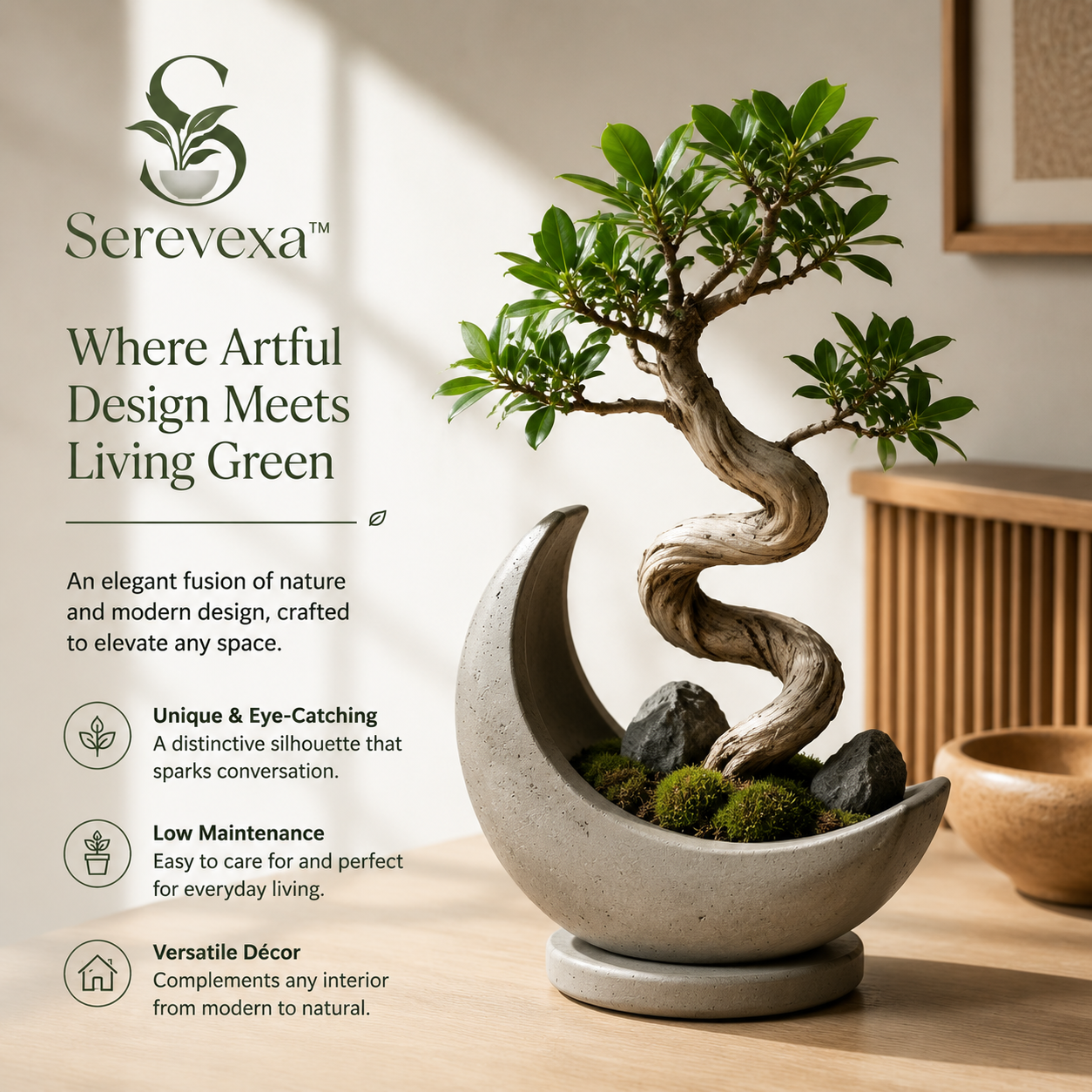 Serevexa™ ArcRoot Zen Planter – Sculptural Bonsai Inspired by Natural Flow