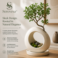 Serevexa™ HaloRoot Contemporary Planter – A Minimalist Botanical Sculpture for Modern Spaces