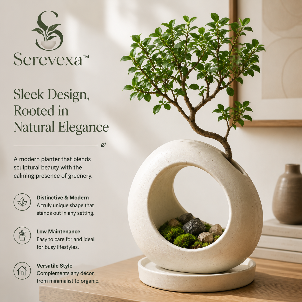 Serevexa™ HaloRoot Contemporary Planter – A Minimalist Botanical Sculpture for Modern Spaces