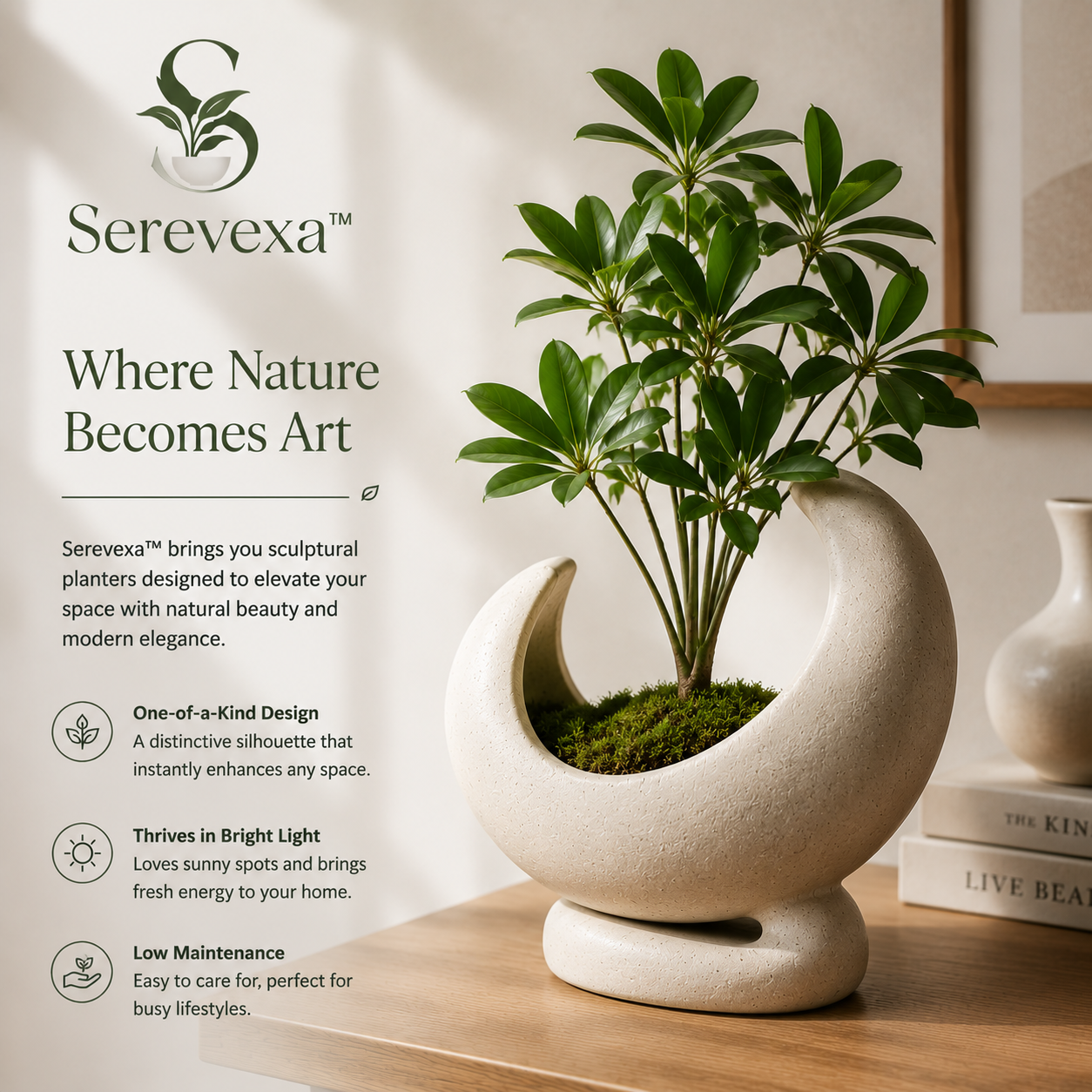Serevexa™ CrescentAura Sculptural Planter – Organic Form Botanical Accent for Modern Homes