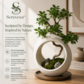 Serevexa™ Orbloom Sculptural Planter – A Living Centerpiece of Modern Organic Design